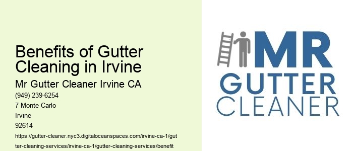 Benefits of Gutter Cleaning in Irvine 