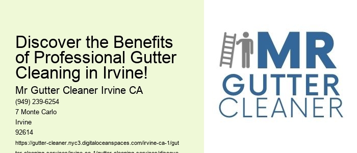 Discover the Benefits of Professional Gutter Cleaning in Irvine!