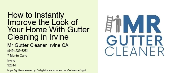 How to Instantly Improve the Look of Your Home With Gutter Cleaning in Irvine 