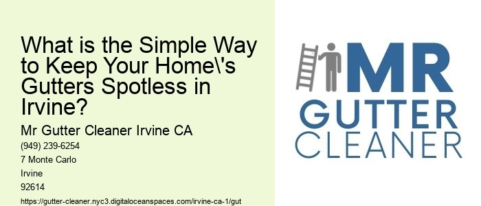 What is the Simple Way to Keep Your Home's Gutters Spotless in Irvine?